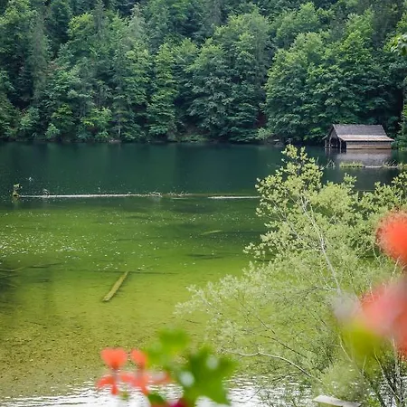Feriehus Forsthaus Toplitzsee Gossl