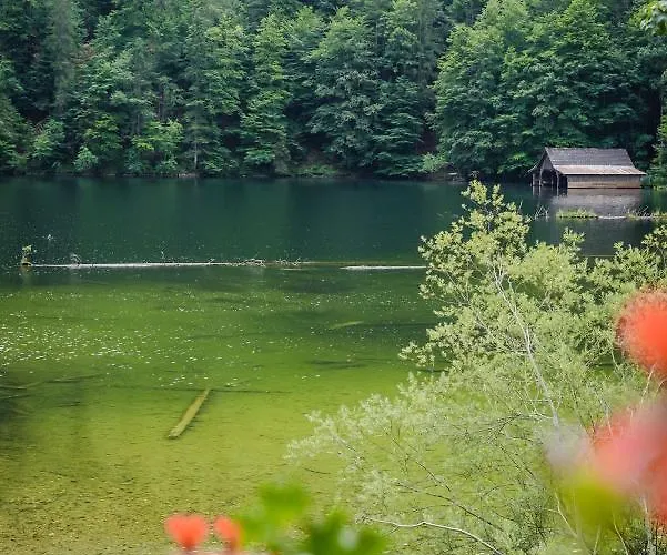 펜션 Forsthaus Toplitzsee Gossl