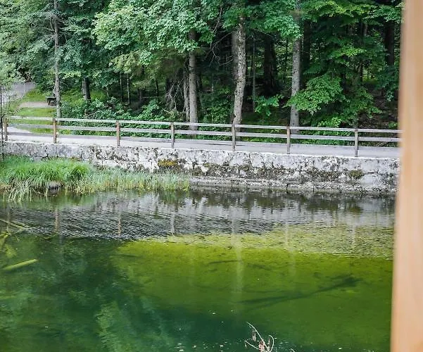 펜션 Forsthaus Toplitzsee